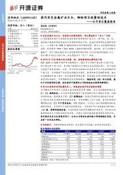 公司首次覆盖报告：国内有色金属矿业巨头，铜钴项目放量助成长