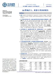 公司年报点评:Q4降幅扩大,新签订单保持增长