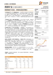 西部地区矿企龙头，多板块业务协同增长