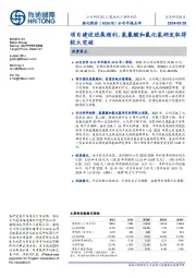 公司年报点评:项目建设进展顺利,氢氟酸和氯化氢研发取得较大突破
