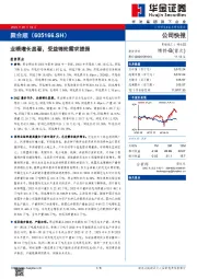 业绩增长显著，受益锦纶需求提振