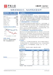 电解液韧性依旧，电池用胶放量在即