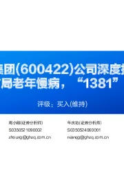 公司深度报告:“777”前瞻布局老年慢病,“1381”重塑最老老字号