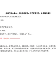 特高压核心概念:业务布局全面,在手订单充足,业绩稳步增长