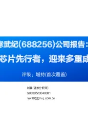 公司报告:全球AI芯片先行者,迎来多重成长驱动