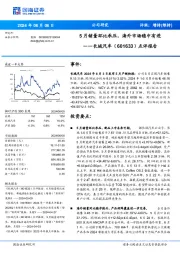 点评报告:5月销量环比承压,海外市场稳中有进