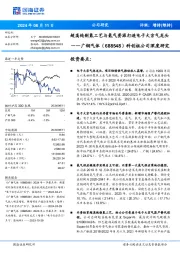科创板公司深度研究:超高纯制氮工艺与氦气资源打造电子大宗气龙头