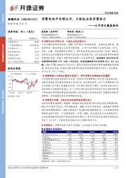 公司首次覆盖报告:消费电池平台型公司,大软包业务有望发力