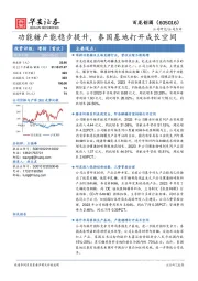 功能糖产能稳步提升，泰国基地打开成长空间