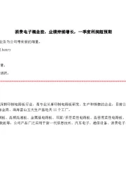 消费电子概念股,业绩持续增长,一季度利润超预期