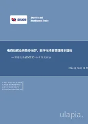 公司深度报告：电商快递业务稳步向好，数字化精益管理降本增效