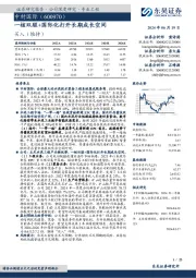 一核双驱+国际化打开长期成长空间
