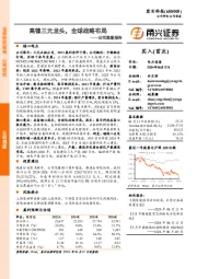 公司深度报告：高镍三元龙头，全球战略布局