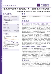 公司事件点评报告：领先的专业化N型电池厂商，出海布局中东产能