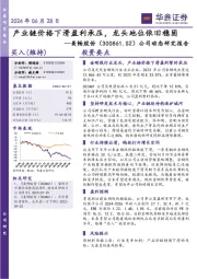 公司动态研究报告:产业链价格下滑盈利承压,龙头地位依旧稳固