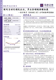 公司动态研究报告:配电自动化领先企业,多业务领域持续拓展