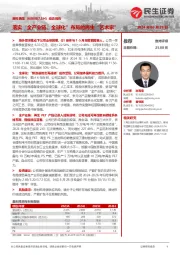 动态报告:落实“全产业链、全球化”布局的再生“艺术家”