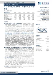 SLG出海龙头流水攀升，计算机业务AI拓增量