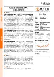 电力设备与充电网双引擎，共驱公司新征程