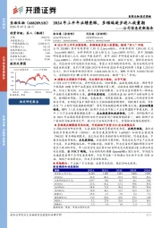 公司信息更新报告:2024年上半年业绩亮眼,多领域逐步进入放量期