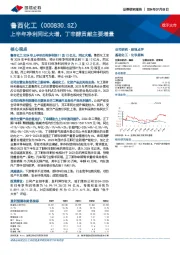 上半年净利同比大增，丁辛醇贡献主要增量