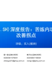 深度报告:苦练内功,行业龙头迎来改善拐点