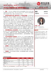 系列点评十二：2024Q2业绩环比大增 盈利拐点向上