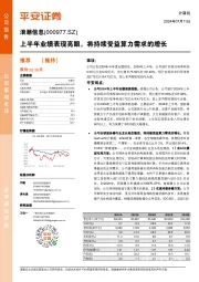 上半年业绩表现亮眼，将持续受益算力需求的增长