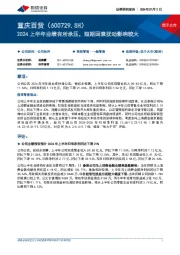 2024上半年业绩有所承压，短期因素扰动影响较大