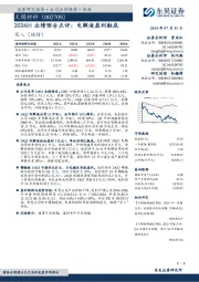 2024H1业绩预告点评:电解液盈利触底