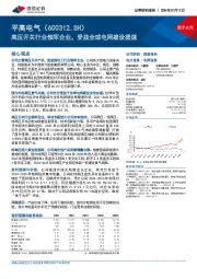 高压开关行业领军企业,受益全球电网建设提速