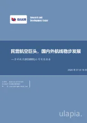 公司深度报告：民营航空巨头，国内外航线稳步发展