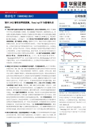 预计24Q2营收创季度新高,Bumping/CP为新增长点