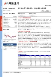 公司信息更新报告：消费电池景气持续提升，Q2业绩预告超预期