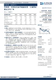 阿特斯:利润优先组件稳健经营、大储厚积薄发空间广阔