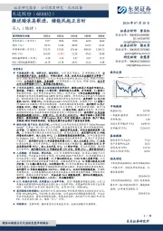 微逆踏浪高歌进,储能风起正当时