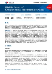 电气自动化平台型企业,受益于智能家电与AI产业发展