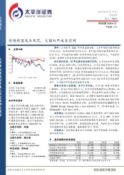 逆境彰显龙头风范，大储打开成长空间