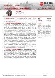 系列点评六:Tier0.5平台型供应商 Q2业绩超预期