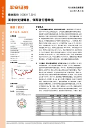 亚非拉光储爆发,领军者行稳致远