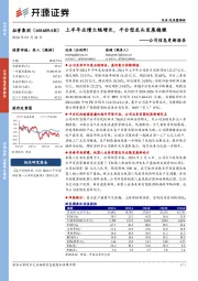 公司信息更新报告:上半年业绩大幅增长,平台型龙头发展稳健
