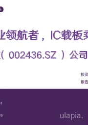 公司深度报告:PCB行业领航者,IC载板乘风而起