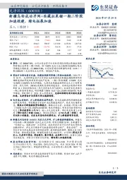 新疆乌恰成功并网+西藏拉果错一期二阶段加速投建,绿电拓展加速