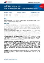 渤海、南海获得勘探新突破，公司积极回购重视股东回报