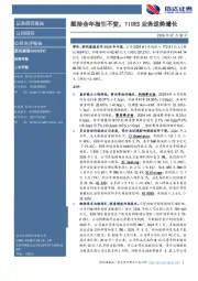 维持全年指引不变,TIDES业务逆势增长