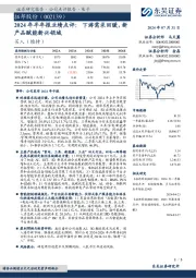2024年半年报业绩点评:下游需求回暖,新产品赋能新兴领域