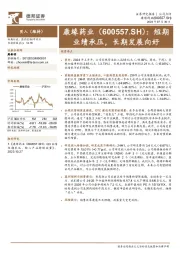 短期业绩承压，长期发展向好