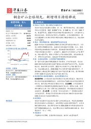 铜金矿山全球领先,新增项目持续释放