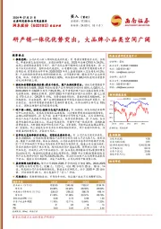 研产销一体化优势突出,大品牌小品类空间广阔