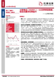 公司简评报告：Q2淡季表现稳健，税收优惠净利率提升